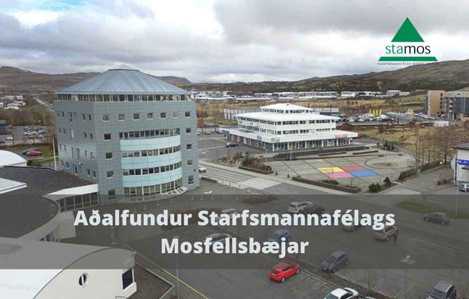Aðalfundur 2024